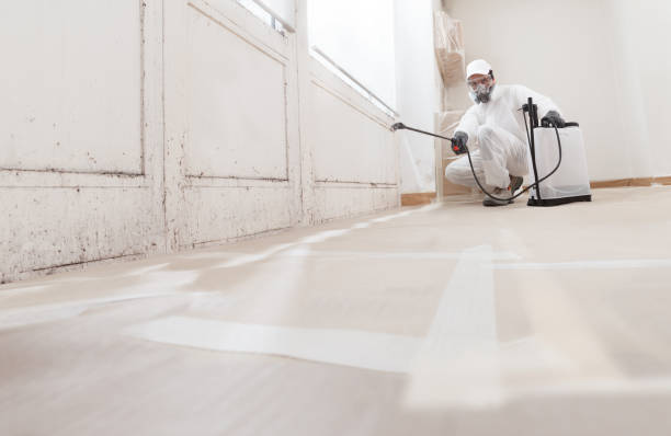 24/7 Emergency Mold Cleanup experts in Scottsdale, AZ