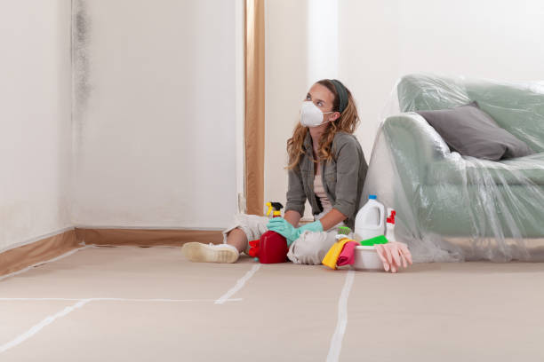 Reliable Mold Cleanup contractor in Scottsdale, AZ by WQB Mold Removal